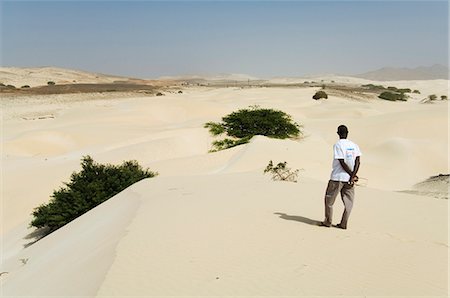 Desert and sand dunes in the middle of Boa Vista, Cape Verde Islands, Africa Foto de stock - Con derechos protegidos, Código: 841-02993655