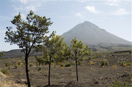 fogo island - Vue de la caldeira du volcan de Pico de Fogo, Fogo (feu), Cap vert, Afrique Photographie de stock - Rights-Managed, Code: 841-02993755