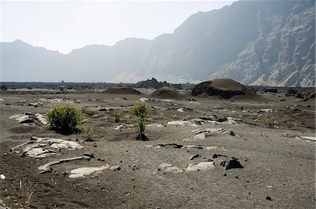 fogo island - La végétation gowing bien dans le sol fertile de la caldeira volcanique, Fogo (feu), îles du Cap-vert, Afrique Photographie de stock - Rights-Managed, Code: 841-02993751