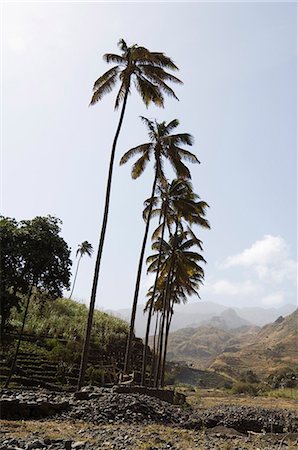 santo antao island - Near Ribiera Grande, Santo Antao, Cape Verde Islands, Africa Stock Photo - Rights-Managed, Code: 841-02993819
