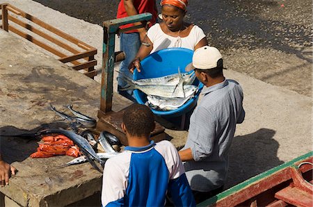 Éviscération des poissons dans le port de Ponto faire Sol, Ribiera Grande, Santo Antao, îles du Cap-vert, Atlantique, Afrique Photographie de stock - Rights-Managed, Code: 841-02993813