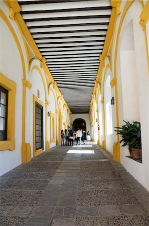 real alcazar - Real Alcazar, Santa Cruz district, Seville, Andalusia (Andalucia), Spain, Europe Stock Photo - Rights-Managed, Code: 841-02993989