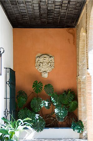 real alcazar - The gardens of the Real Alcazar, Santa Cruz district, Seville, Andalusia (Andalucia), Spain, Europe Stock Photo - Rights-Managed, Code: 841-02993990