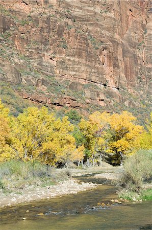 simsearch:841-03058704,k - Zion National Park, Utah, États-Unis d'Amérique, l'Amérique du Nord Photographie de stock - Rights-Managed, Code: 841-03028110