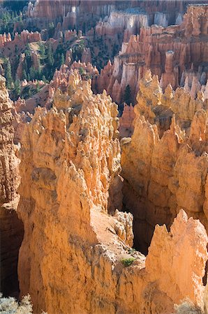 simsearch:841-02920387,k - Parc National de Bryce Canyon, Utah, États-Unis d'Amérique, l'Amérique du Nord Photographie de stock - Rights-Managed, Code: 841-03028183