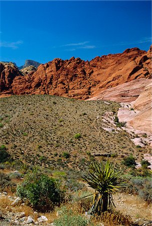 désert de mojave - Red Rock Canyon, montagnes de printemps, 15 km à l'ouest de Las Vegas dans le désert de Mojave, Nevada, États-Unis d'Amérique Photographie de stock - Rights-Managed, Code: 841-03028555