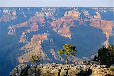 The south rim of the Grand Canyon, Arizona, United States of America Stock Photo - Rights-Managed, Code: 841-03028578