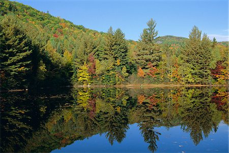 Lake reflections near Jackson, New Hampshire, New England, United States of America, North America Foto de stock - Con derechos protegidos, Código: 841-03028657