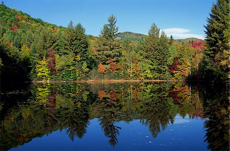 Tranquil scene of trees in autumn (fall) foliage reflected in a lake, near Jackson, New Hampshire, New England, United States of America, North America Stock Photo - Rights-Managed, Code: 841-03028797