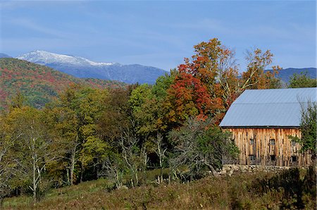 An old wooden farm building and trees in fall colours, with the White Mountains behind, near Jackson, New Hampshire, New England, United States of America, North America Stock Photo - Rights-Managed, Code: 841-03028799