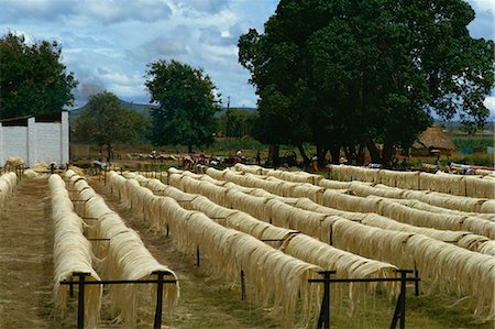 Sisal rope factory, Taveta, Kenya, East Africa, Africa Stock Photo - Rights-Managed, Code: 841-03028807