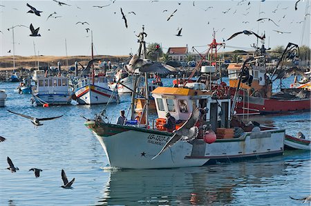 Fishing boats, Lagos, Algarve, Portugal, Europe Stock Photo - Rights-Managed, Code: 841-03028938