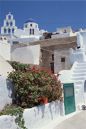 simsearch:841-02831207,k - Geraniums overhanging white walls, with a bell tower and blue domed church on hill behind, in the village of Pirgos, Santorini (Thira), Cyclades Islands, Greek Islands, Greece, Europe Foto de stock - Con derechos protegidos, Código: 841-03029256