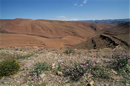 draa valley - Arid landscape in the Draa valley between Ouarzazate and Agdz, Morocco, North Africa, Africa Stock Photo - Rights-Managed, Code: 841-03029266