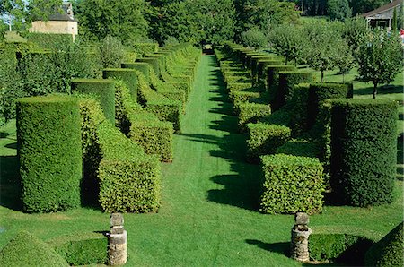 formal gardens - Allee des charmes, Les Jardins d'Eyrignac, Dordogne, Perigord, Aquitaine, France, Europe Stock Photo - Rights-Managed, Code: 841-03029461