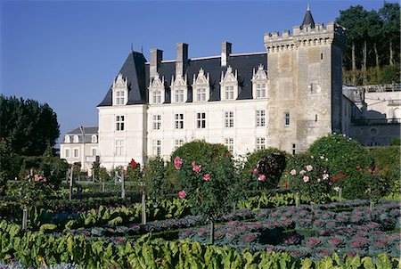Château et jardins, y compris les légumes dans le potager, château de Villandry, Site du patrimoine mondial de l'UNESCO, la vallée de la Loire, Centre, France, Europe Photographie de stock - Rights-Managed, Code: 841-03029535