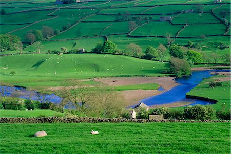 swaledale - View to river at Reeth, Swaledale, Yorkshire Dales National Park, Yorkshire, England, United Kingdom, Europe Foto de stock - Con derechos protegidos, Código: 841-03029681