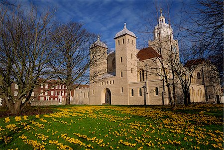 portsmouth - Crocuses outside the Cathedral, Portsmouth, Hampshire, England, United Kingdom, Europe Foto de stock - Con derechos protegidos, Código: 841-03029755