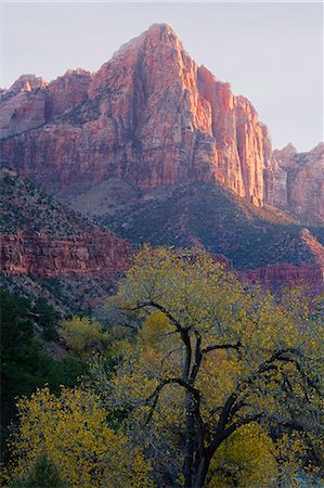 simsearch:841-02920373,k - The Watchman, Zion National Park, Utah, United States of America, North America Stock Photo - Rights-Managed, Code: 841-03029773