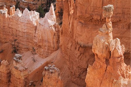 Thor's Hammer, Bryce Canyon National Park, Utah, United States of America, North America Stock Photo - Rights-Managed, Code: 841-03029817