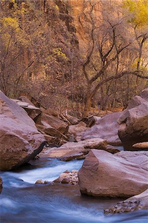 simsearch:841-02920373,k - Virgin River, Riverside Walk, Zion National Park, Utah, United States of America, North America Stock Photo - Rights-Managed, Code: 841-03029810