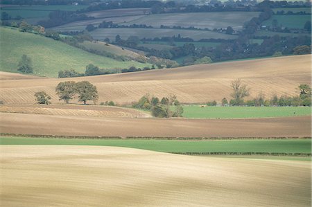 simsearch:841-03030103,k - Fields in autumn, Meon Valley, Hampshire, England, United Kingdom, Europe Stock Photo - Rights-Managed, Code: 841-03029900