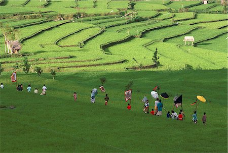 Procession through rice terraces ner Tenganan, eastern region, island of Bali, Indonesia, Southeast Asia, Asia Stock Photo - Rights-Managed, Code: 841-03034024