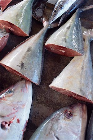 Fish for sale, Saturday market, Victoria, island of Mahe, Seychelles, Indian Ocean, Africa Stock Photo - Rights-Managed, Code: 841-03034056