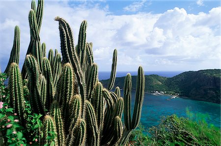 View from Fort Napoleon, Terre-de-Haut, Les Saintes, off Guadeloupe, French Antilles, West Indies, Central America Foto de stock - Con derechos protegidos, Código: 841-03034098