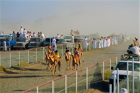 Camel race course,Mudaibi,Oman,Middle East Stock Photo - Rights-Managed, Code: 841-03034116