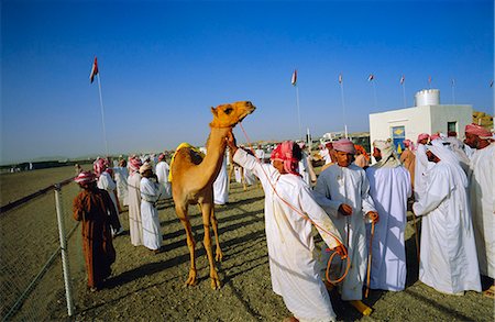 Camel race course,Mudaibi,Oman,Middle East Stock Photo - Rights-Managed, Code: 841-03034118