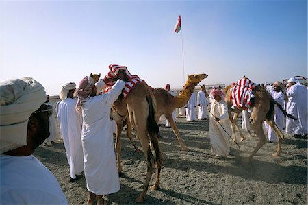 simsearch:841-02711499,k - Camel racing,Mudaibi region,Sultanate of Oman,Middle East Foto de stock - Con derechos protegidos, Código: 841-03034121