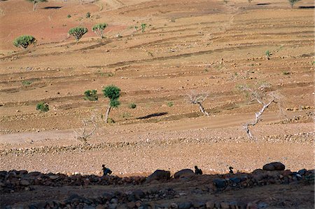 simsearch:841-03034234,k - Sur les pentes du Mont Workamba, Tambien région, province de Tigre, Ethiopie, Afrique Photographie de stock - Rights-Managed, Code: 841-03034184