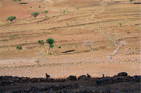 On the slopes of Mount Workamba,Tambien region,Tigre province,Ethiopia,Africa Stock Photo - Rights-Managed, Code: 841-03034184