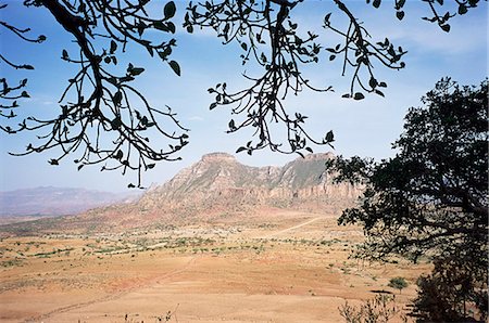 On the slopes of Mount Workamba,Tambien region,Tigre province,Ethiopia,Africa Foto de stock - Con derechos protegidos, Código: 841-03034185