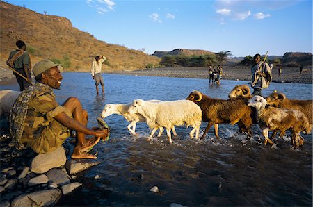 Shepherds and flock crossing river,Terari Wenz,Wollo region,Ethiopia,Africa Stock Photo - Rights-Managed, Code: 841-03034198