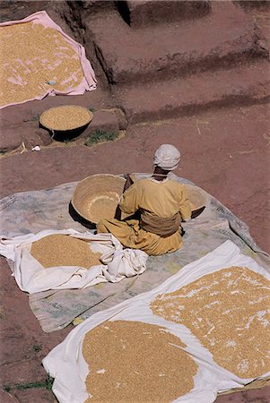 Man and grain,island of Dek,Lake Tana,Gondar region,Ethiopia,Africa Foto de stock - Con derechos protegidos, Código: 841-03034193