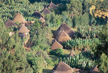 ethiopian house - Village in the land of the Gourague,Hosana region,Shoa province,Ethiopia,Africa Stock Photo - Rights-Managed, Code: 841-03034219