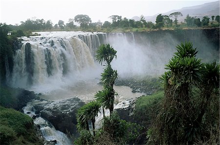 Blue Nile Falls,near Lake Tana,Gondar region,Ethiopia,Africa Foto de stock - Con derechos protegidos, Código: 841-03034235