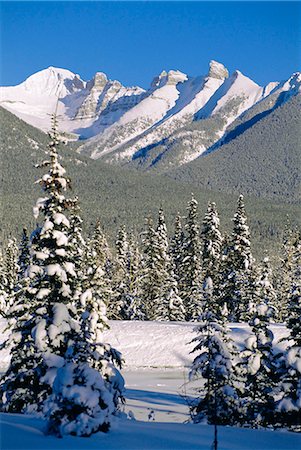 simsearch:841-03062714,k - Banff,Alberta,Canada Foto de stock - Con derechos protegidos, Código: 841-03034480