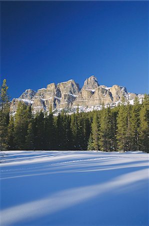 Castle Mountain, montagnes Rocheuses, en Alberta, Canada Photographie de stock - Rights-Managed, Code: 841-03034614
