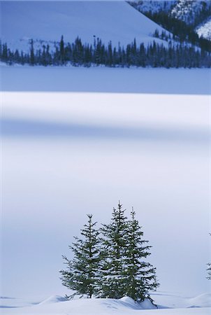 Bow Lake in winter,Rocky Mountains,Alberta,Canada Stock Photo - Rights-Managed, Code: 841-03034621