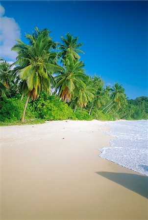 simsearch:841-03871155,k - Plage, Seychelles Photographie de stock - Rights-Managed, Code: 841-03034983
