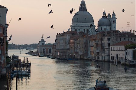 Pigeons,Grand Canal,Venice,Italy Stock Photo - Rights-Managed, Code: 841-03034999