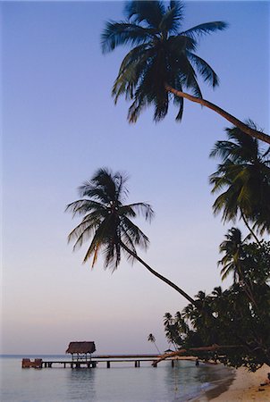 pigeon point - Pigeon Point,Tobago Foto de stock - Con derechos protegidos, Código: 841-03035368