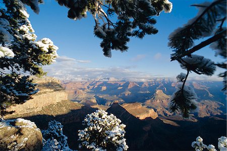 simsearch:841-03066223,k - Grand Canyon,Arizona,United States of America Foto de stock - Con derechos protegidos, Código: 841-03035534