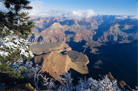 Grand Canyon,Arizona,United States of America Stock Photo - Rights-Managed, Code: 841-03035537