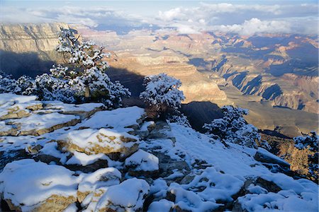 Grand Canyon,Arizona,United States of America Stock Photo - Rights-Managed, Code: 841-03035532