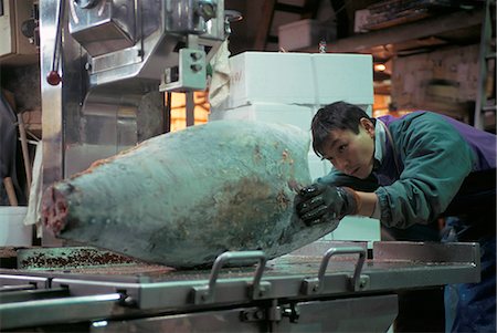 Tsukiji Fisch Markt, Tokio, Japan, Asien Stockbilder - Lizenzpflichtiges, Bildnummer: 841-03035710