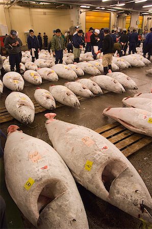 Tuna fish being auctioned,Tsukiji fish market,Tsukiji,Tokyo,Japan,Asia Stock Photo - Rights-Managed, Code: 841-03035797